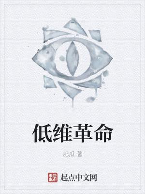 低维革命TXT百度知道资源