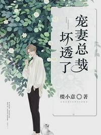 沐暖暖慕霆枭在线阅读