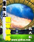 重生之冠军教练 第171章