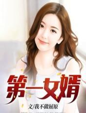 第一女婿短剧在线观看