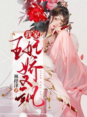 我家王妃有点拽免费阅读