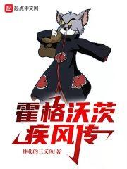霍格沃茨疾风传列表