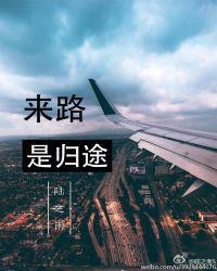 来路是归途免费完整阅读