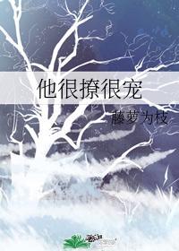 宁蓁陆执漫画