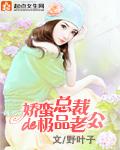 霸道总裁的娇蛮妻