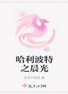 哈利波特穿越暮光