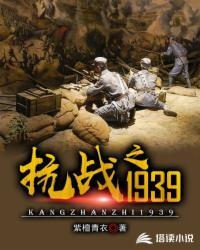 抗战之19393Q读书