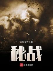密战无声电视剧剧情介绍