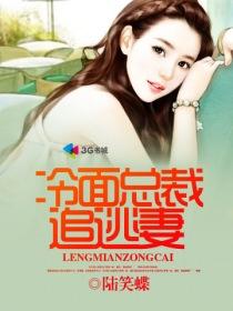 冷面总裁的逃妻