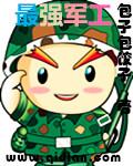 最强军工解柝系统
