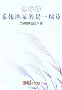 斗罗之完结系统
