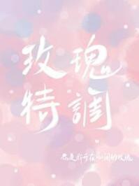 玫瑰特调txt