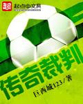传奇裁判TXT