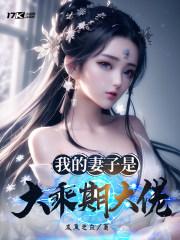 我的妻子是大乘期大佬未删减全文