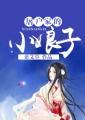 屠户家的小娘子txt盘
