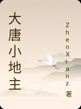 大唐小地主林凡TXT