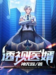 透视医圣叶寒