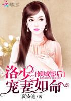 倾城影后洛少宠妻如命书包网