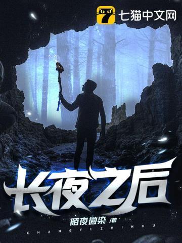 长夜之后破解版