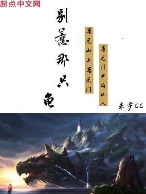别惹那只龟苏年华