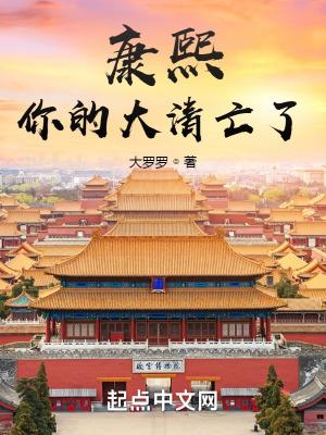 康熙你的大清亡了大罗罗