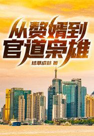 从赘婿到官道枭雄关之峰怎么样