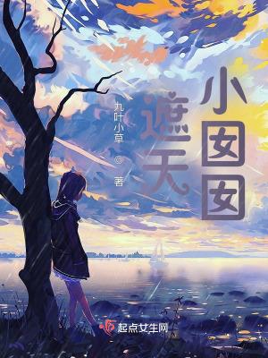 遮天小囡囡给叶凡的石头是什么