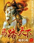 马踏天下老婆有几个