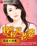我的校花老婆叶子txt