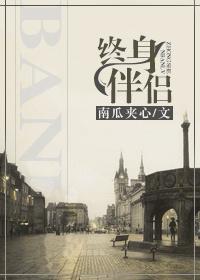 终身伴侣套餐短剧