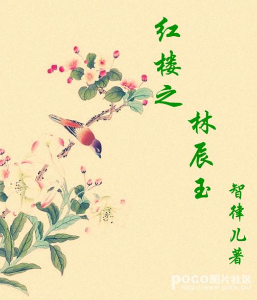 红楼林黛玉随身空间
