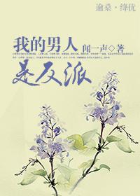 我的男人是反派晋江推文