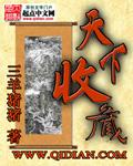 天下收藏人羽佳