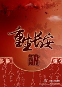 主角叫长安的