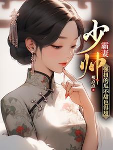 少帅霸宠