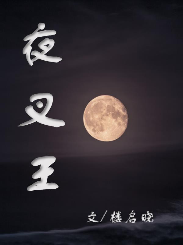 夜叉王只想追白夜叉