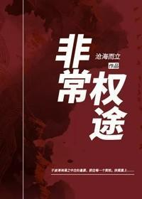 非常权途TXT百度