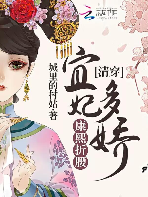 宜妃清穿晋江
