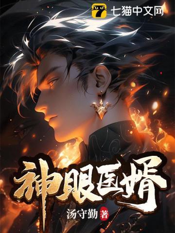 神眼医婿林飞笔趣阁