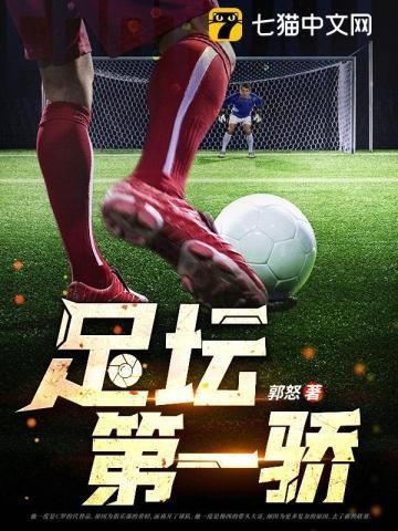 足坛第一骄TXT免费