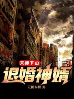 天师下山退婚神婿境界