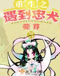重生之忠犬缠上身