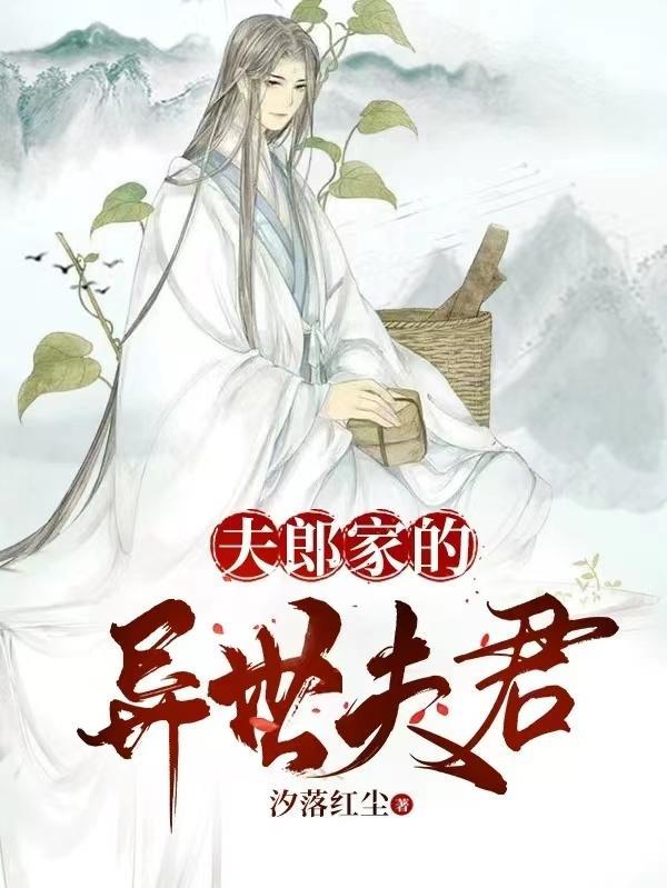夫郎在异世免费阅读全文镇魂网