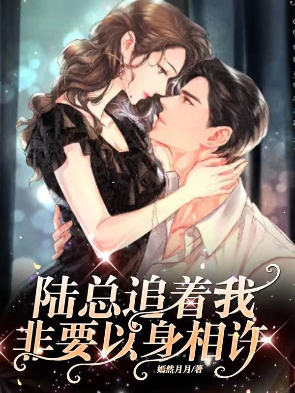 陆先生以身相许