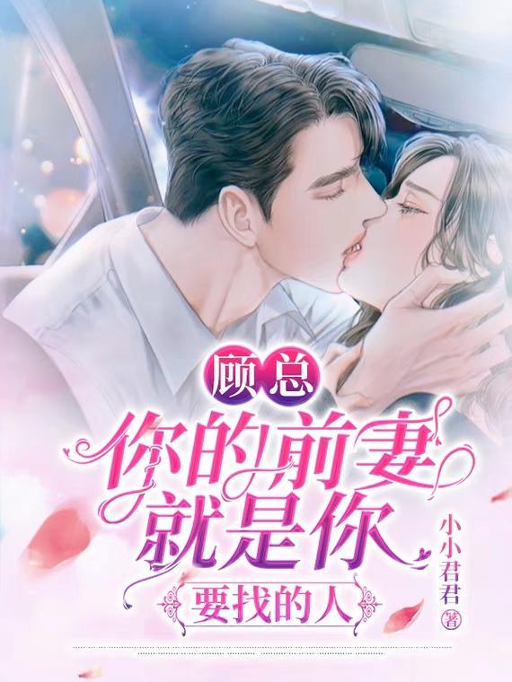 你的前妻就是你要找的人在线观看