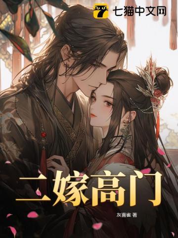 二嫁高门讲的什么