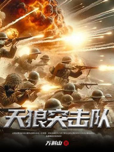 天狼突击队电视剧全集