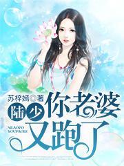 陆少你老婆又跑了大结局