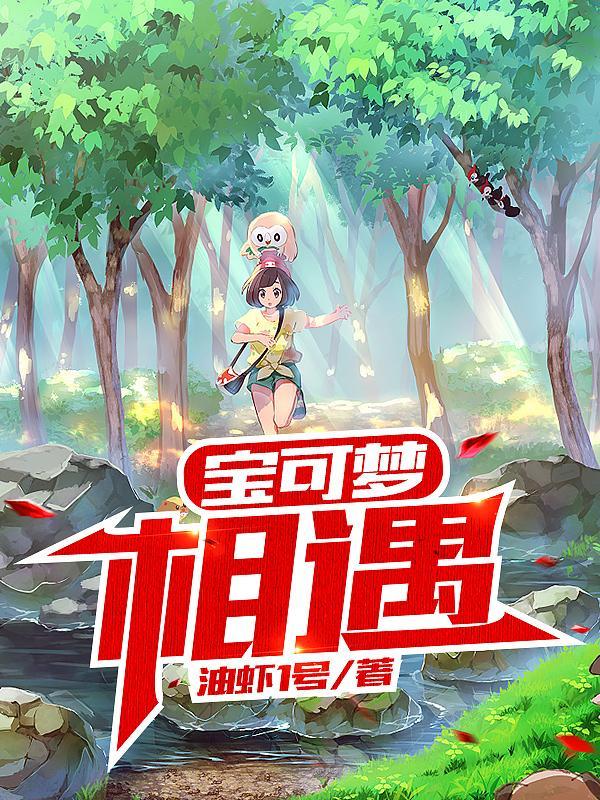 宝可梦相遇