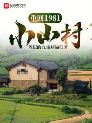 重回1981小山村讲的什么